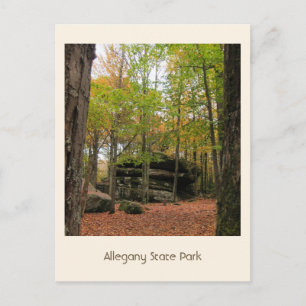 Cartão Postal Autumn no Alegany Postcard
