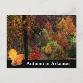 Cartão Postal Autumn no Arkansas / Fotografia de Fall Season