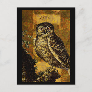 Cartão Postal Autumn Owl