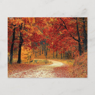 Cartão Postal Autumn Red Season Landscape