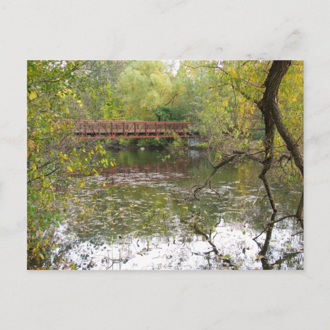 Cartão Postal Autumn Reflections (Frente)