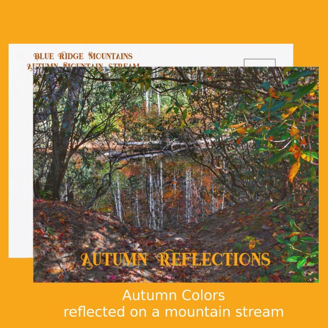 Cartão Postal Autumn Reflete Mountain Stream Fotografia (Criador carregado)
