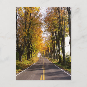 Cartão Postal Autumn Road