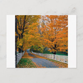 Cartão Postal Autumn Scense Backroad New Hampshire