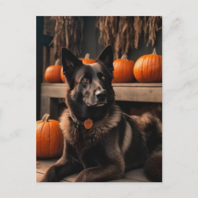 Cartão Postal Autumn Shepherd (Frente)