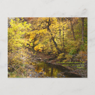 Cartão Postal Autumn Splendor III
