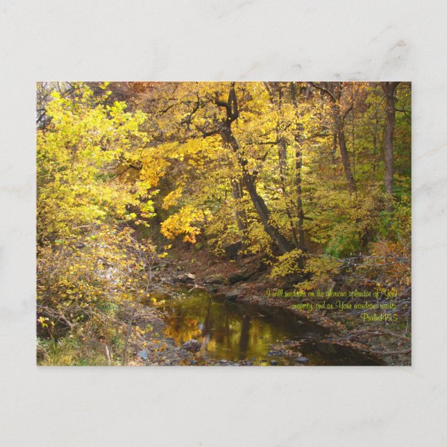 Cartão Postal Autumn Splendor III (Frente)