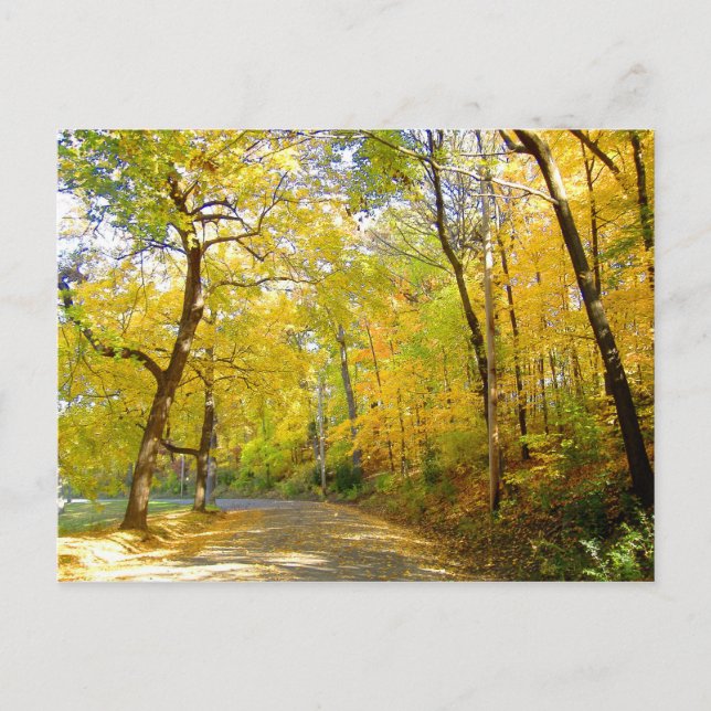 Cartão Postal Autumn Trees 2004 Foto ... Bradley Park (Frente)