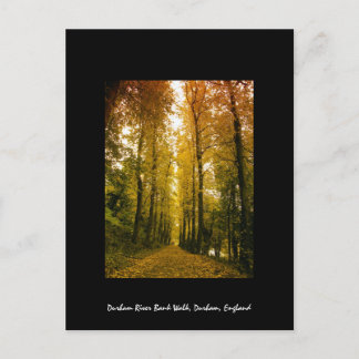 Cartão Postal Autumn Walk