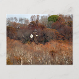 Cartão Postal Autumn Wings