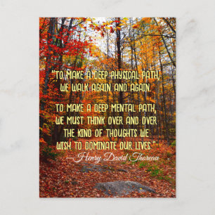 Cartão Postal Autumn Woods New Hampshire Motivation Cote