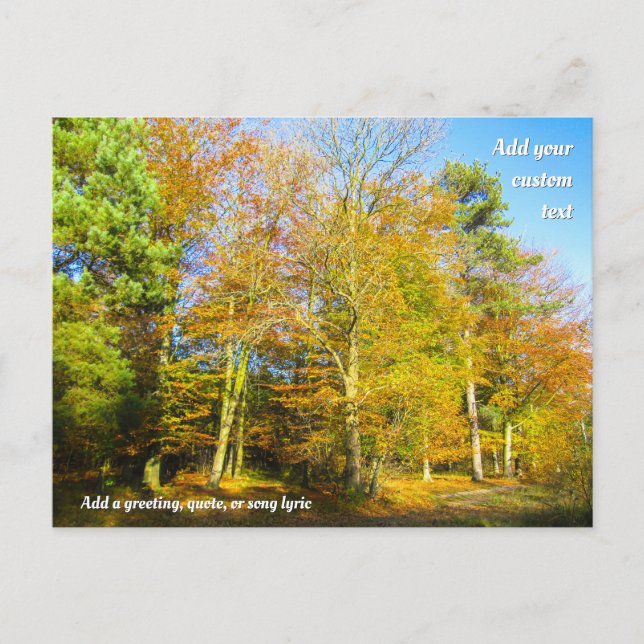 Cartão Postal Autumn Woods & Sunshine - Personalizado (Frente)