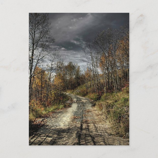 Cartão Postal Autumns Road (Frente)