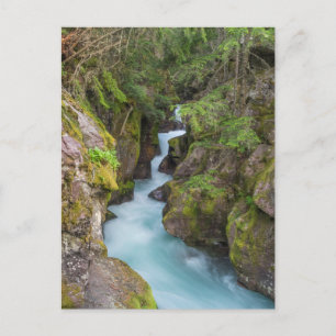 Cartão Postal Avalanche Creek, Parque Nacional Glacier, Montana