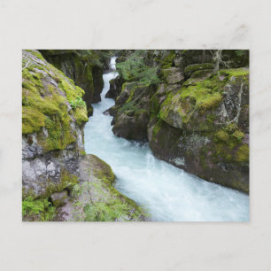 Cartão Postal Avalanche Gorge I no Glacier National Park