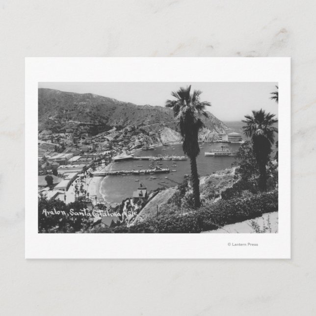 Cartão Postal Avalon, Papais noeis da CA Ilha Catalina Vista do  (Frente)
