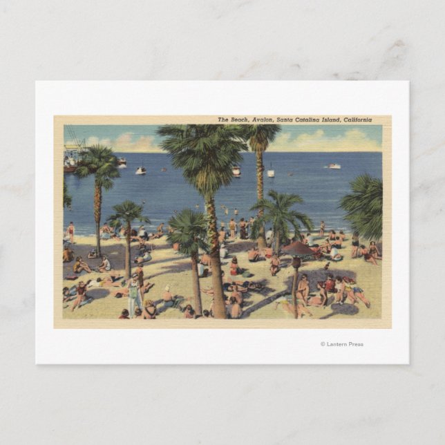 Cartão Postal Avalon View of Beach com Sunbathers (Frente)