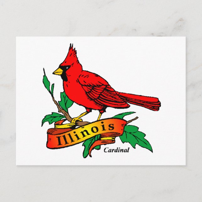 Cartão Postal Ave do Estado de Illinois - Cardinal (Frente)