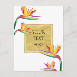 Cartão Postal Ave do Paraíso Elegante Dourado Branco Casamento