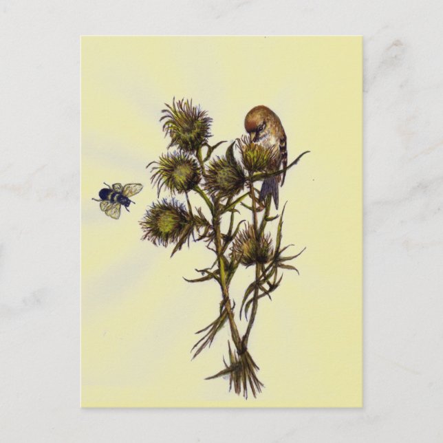 Cartão Postal Ave e Abelha (Frente)