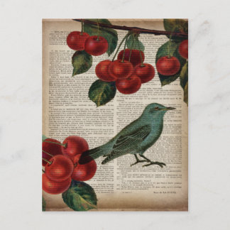 Cartão Postal ave francesa retro botanical red cherry