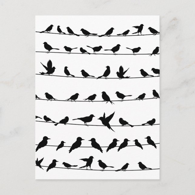 Cartão Postal Ave no fio4 (Frente)