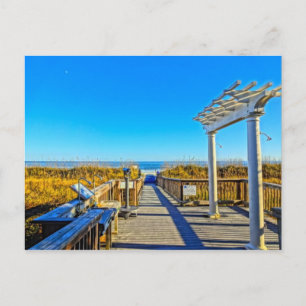 Cartão Postal Aveia do Mar Areia e Surf! Hilton Head Island SC