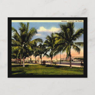 Cartão Postal Avenida da Porta, Havana Cuba Vintage