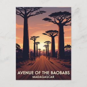 Cartão Postal Avenida Madagascar dos Baobás, Viagem