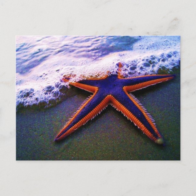 CARTÃO POSTAL AVENTURA (Frente)