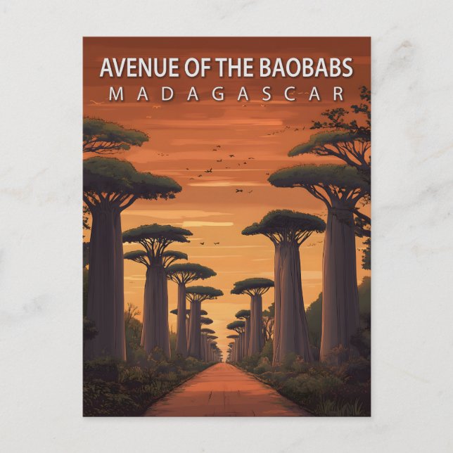 Cartão Postal Avenue of the Baobabs Madagascar African Nature (Frente)