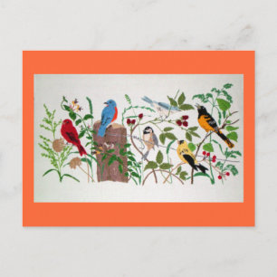 Cartão Postal Aves