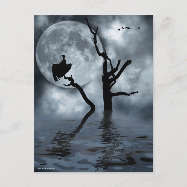 Cartão Postal Aves à noite (Frente)