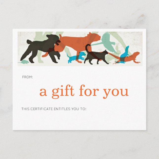 Cartão Postal Aves de Natação de Peixes Voam Cães Caminham Caçad (Frente)