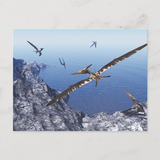 Cartão Postal Aves de pteranodon - renderização 3D (Frente)