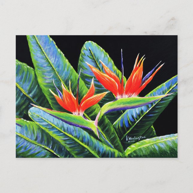 Cartão Postal Aves do Paraíso (Frente)