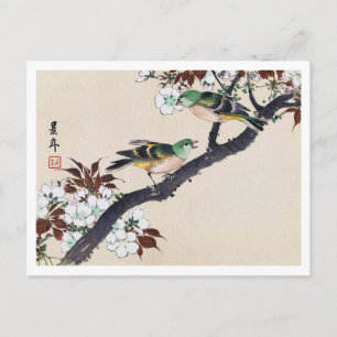 Cartão Postal Aves e Blossomas de Cereja, Imao Keinen