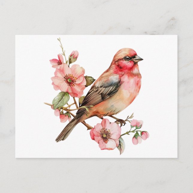 Cartão Postal Aves e flores (Frente)