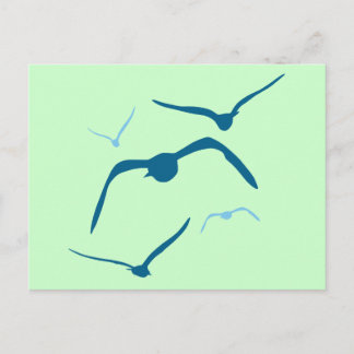 Cartão Postal Aves em Voo