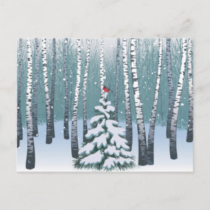 Cartão Postal Aves Na Floresta De Inverno
