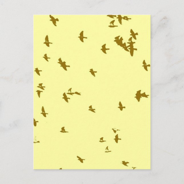 Cartão Postal Aves no Céu (Frente)