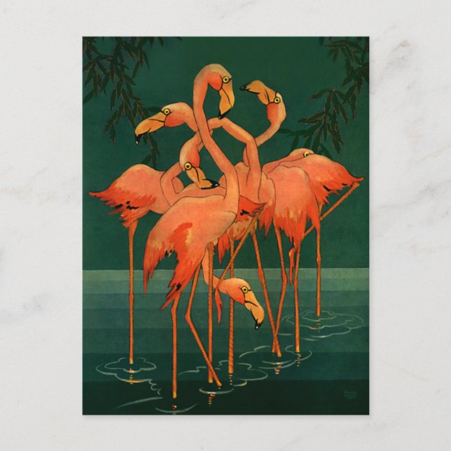 Cartão Postal Aves Selvagens Vintage, Flamingos Tropicais Rosa (Frente)