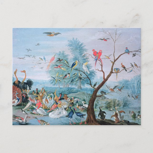Cartão Postal Aves tropicais em paisagem (Frente)