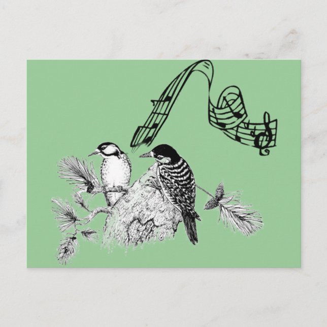 Cartão Postal Aves Vintage (Frente)