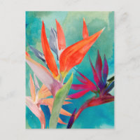 Aves Vivas do Paraíso