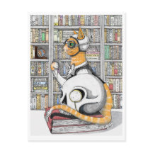 Cartão Postal: Aviação para gatos