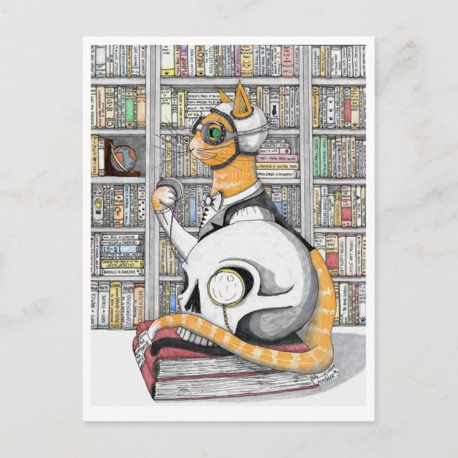 Cartão Postal: Aviação para gatos (Frente)