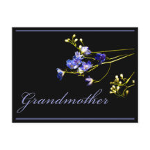 Avó Delicar Flores Azuis