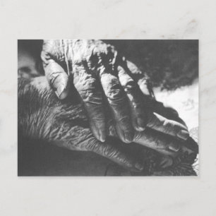 Cartão Postal Avó Mãos