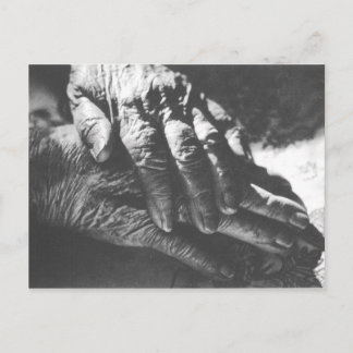 Cartão Postal Avó Mãos